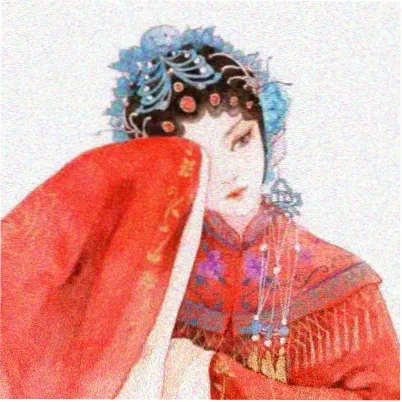观众阿树的头像